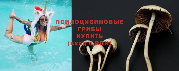 ГАЛЛЮЦИНОГЕННЫЕ ГРИБЫ Тихвин