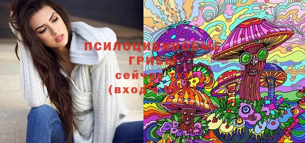 винт Тобольск