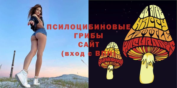 винт Тобольск