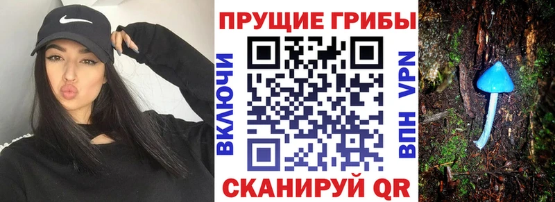 мориарти телеграм  Берёзовка  Галлюциногенные грибы мухоморы 